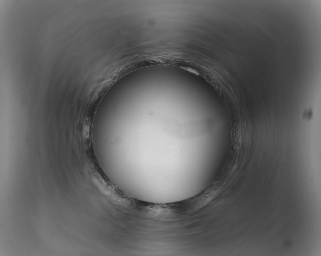 X0000111250284200907091431