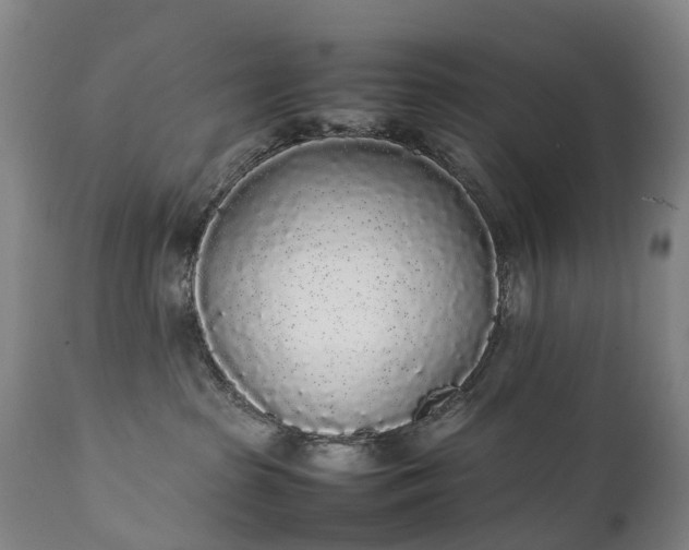 X0000111250285200907091431