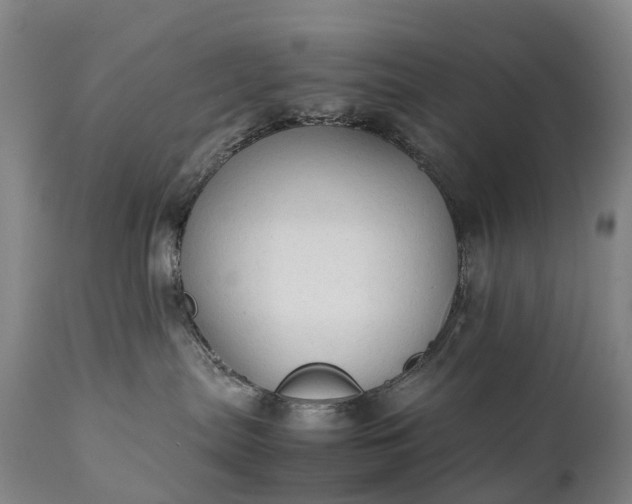 X0000111250287200907091431