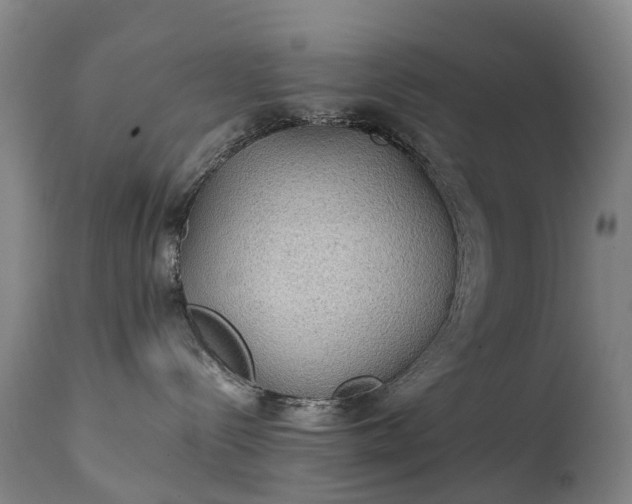 X0000111250288200907091431