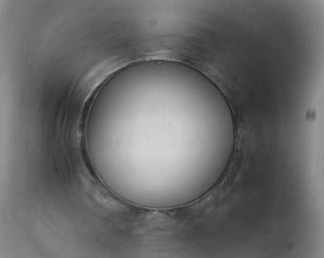 X0000111250290200907091430