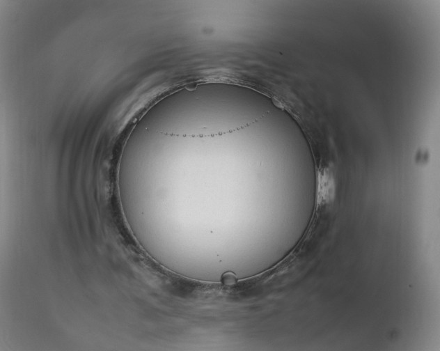 X0000111250291200907091430