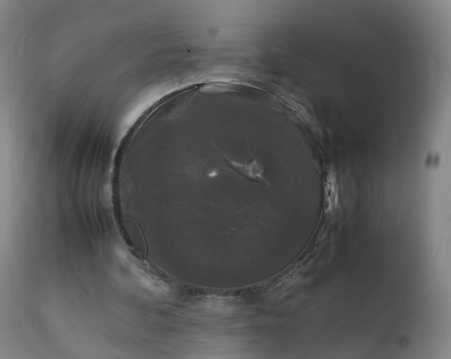 X0000111250292200907091430