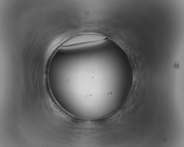 X0000111250293200907091430