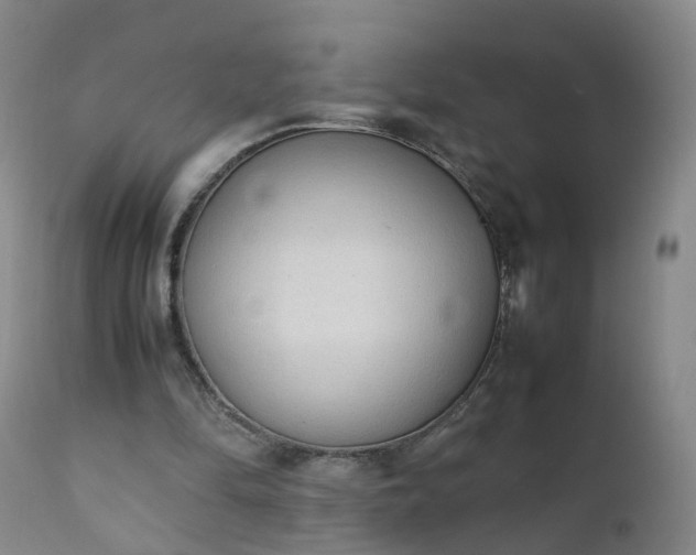 X0000111250294200907091430