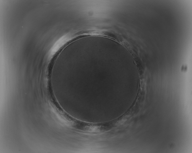 X0000111250295200907091430