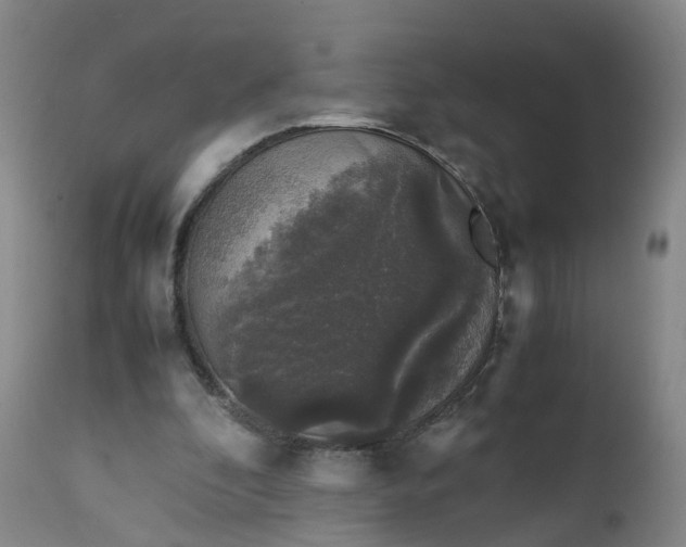 X0000111250296200907091430