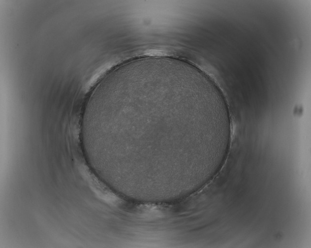 X0000111250297200907091430