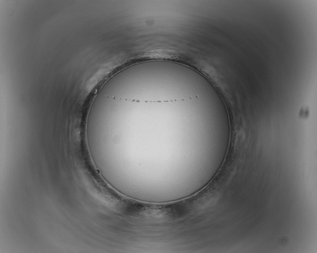 X0000111250299200907091430