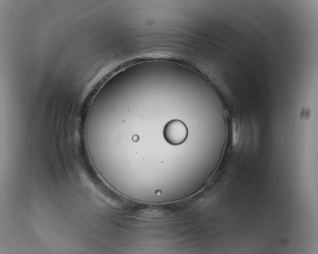 X0000111250300200907091430