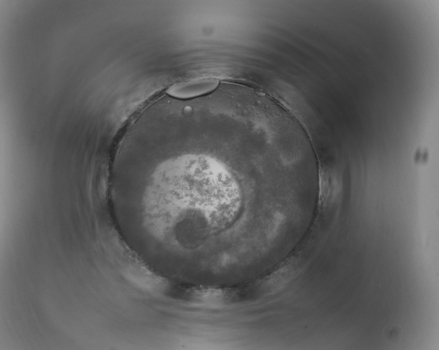 X0000111250301200907091430