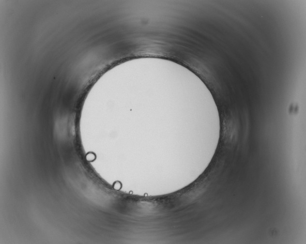 X0000111250302200907091430