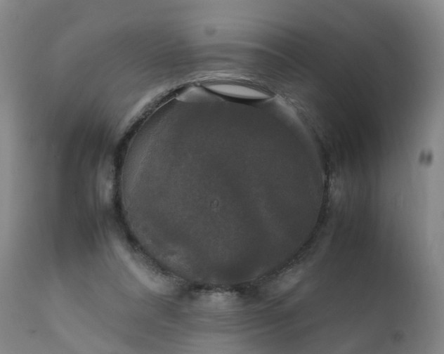 X0000111250304200907091430