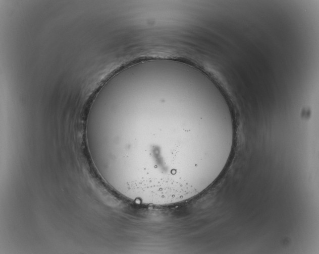 X0000111250305200907091430