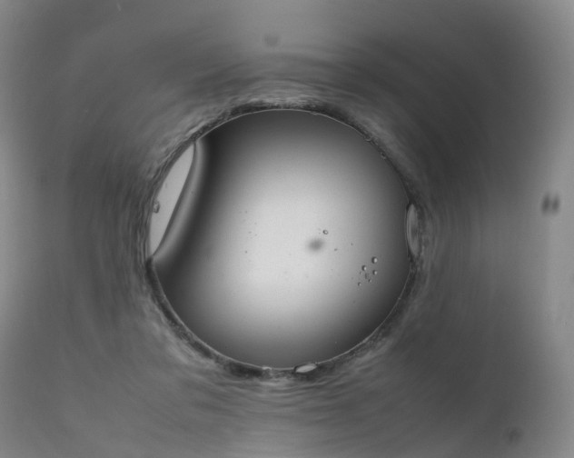 X0000111250309200907091430