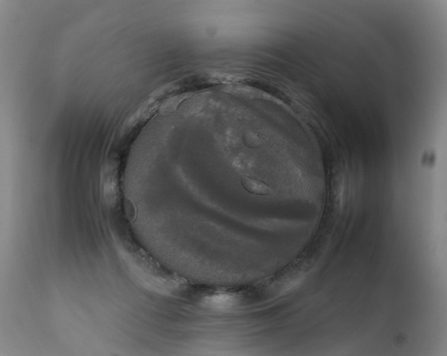 X0000111250312200907091430