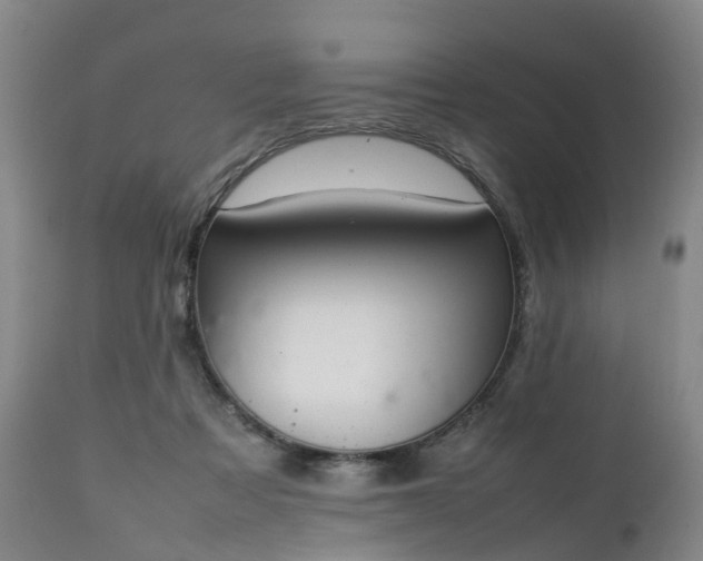 X0000111250313200907091430