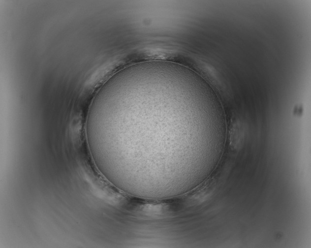 X0000111250314200907091430