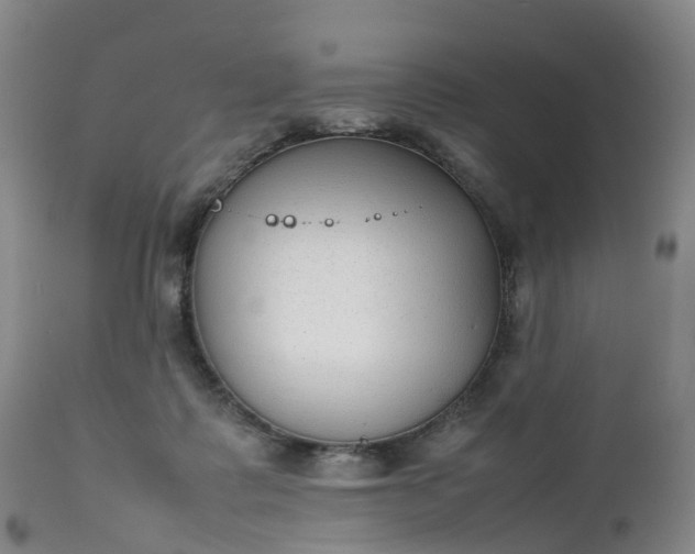 X0000111250315200907091430