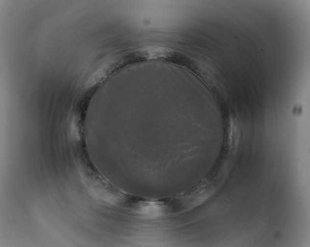 X0000111250316200907091430