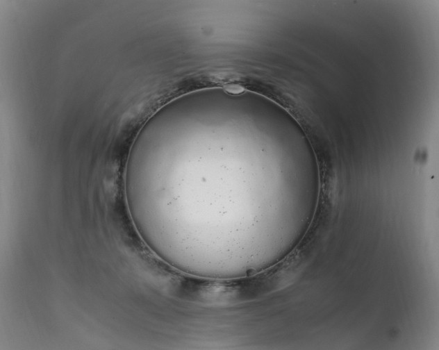 X0000111250319200907091430