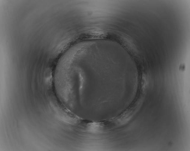 X0000111250320200907091430