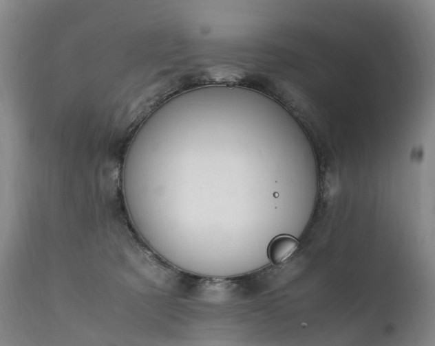 X0000111250321200907091430