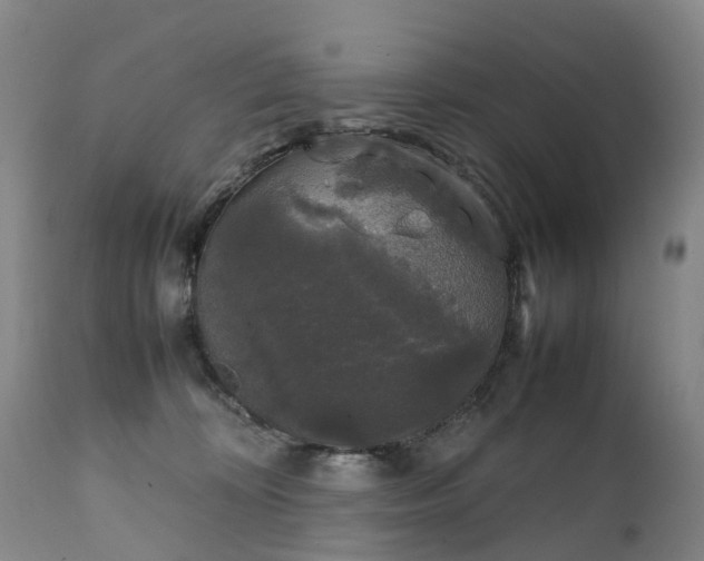 X0000111250324200907091430