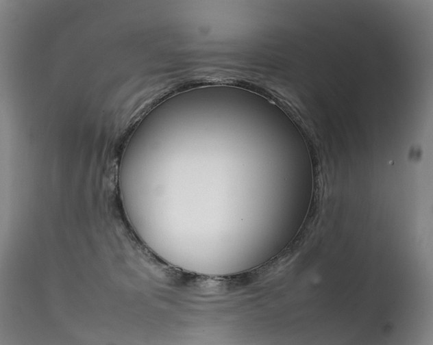 X0000111250325200907091429