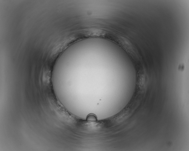 X0000111250326200907091429