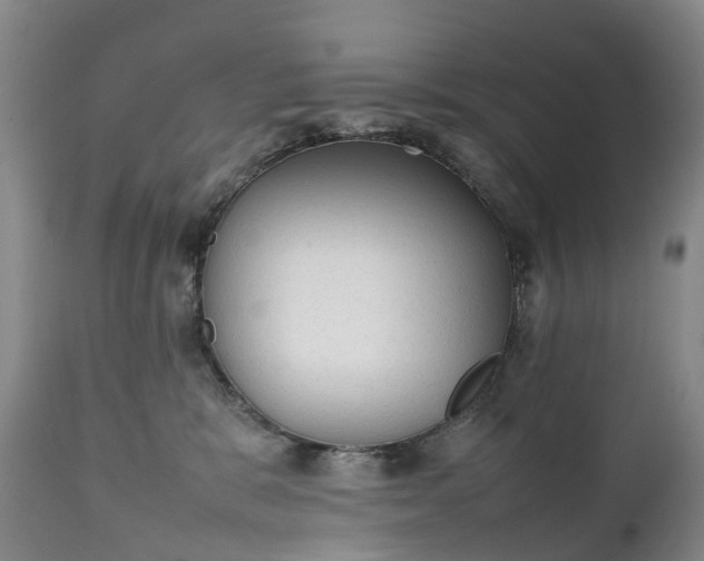 X0000111250327200907091429