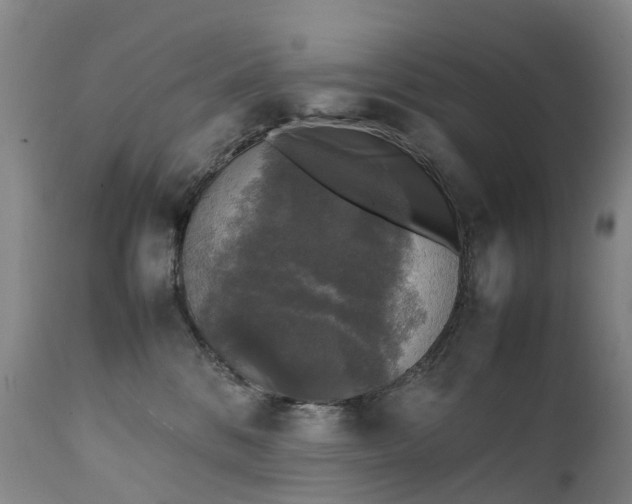 X0000111250328200907091429