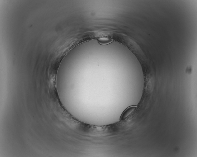 X0000111250329200907091429