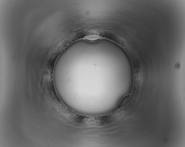 X0000111250331200907091429