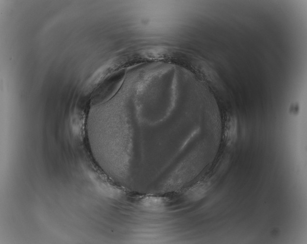 X0000111250332200907091429