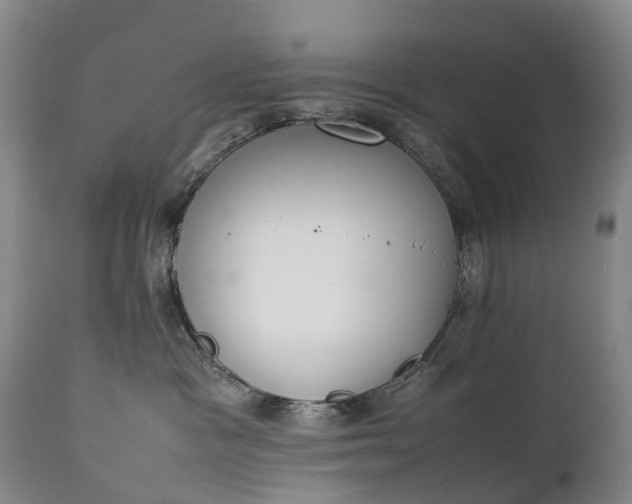 X0000111250333200907091429