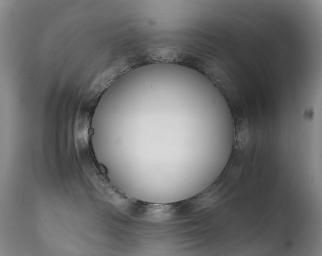 X0000111250334200907091429