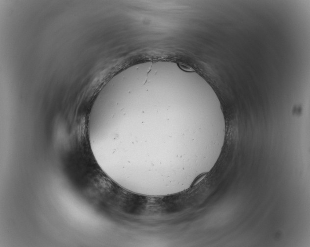 X0000111250335200907091429