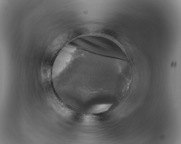 X0000111250336200907091429