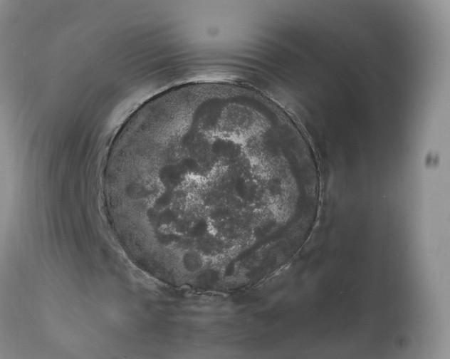 X0000111250337200907091429