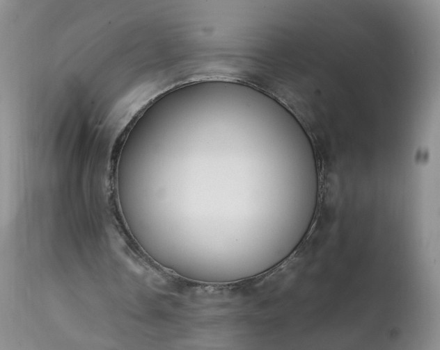 X0000111250338200907091429