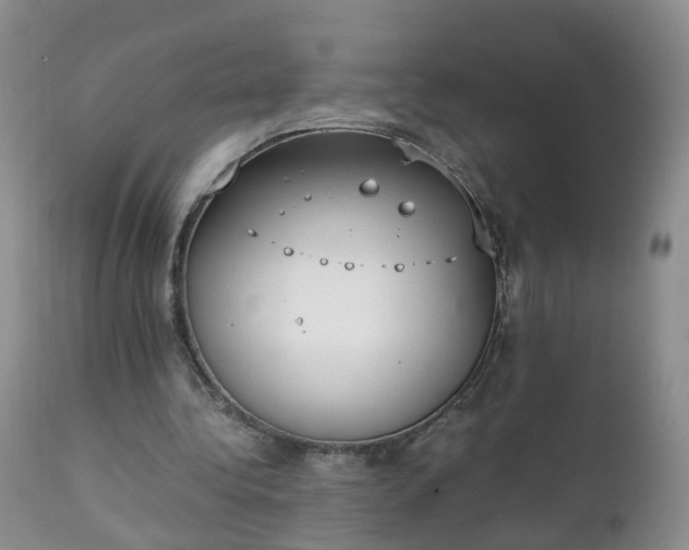 X0000111250340200907091429