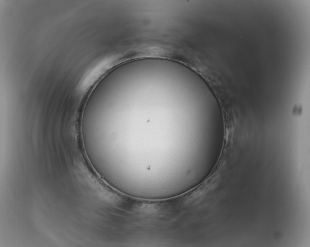 X0000111250341200907091429