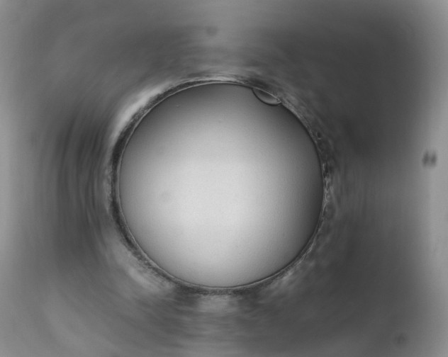 X0000111250342200907091429