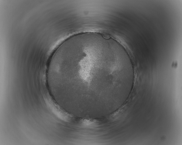 X0000111250346200907091429