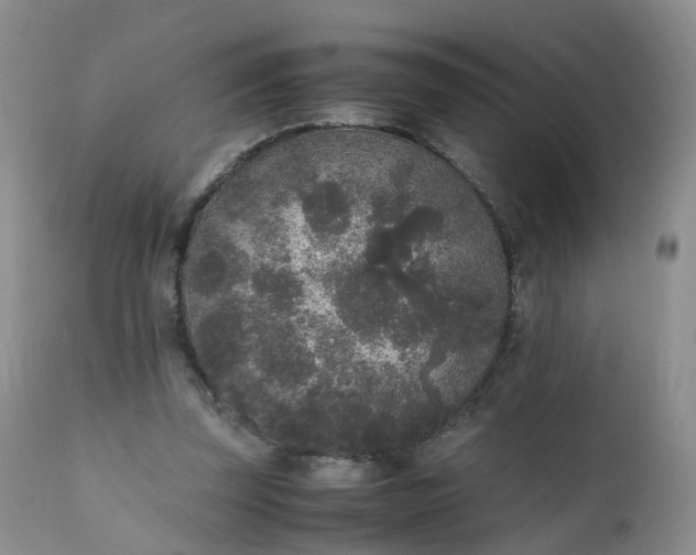 X0000111250347200907091429