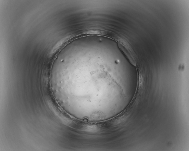 X0000111250349200907091429