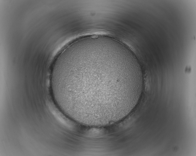 X0000111250350200907091429