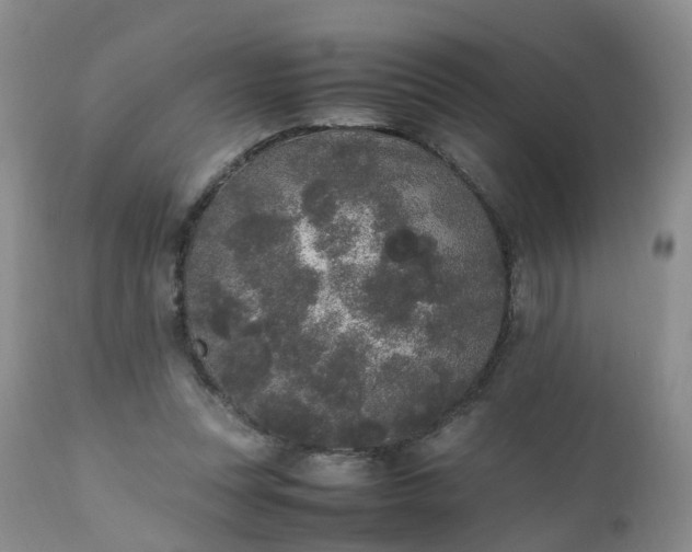 X0000111250351200907091429