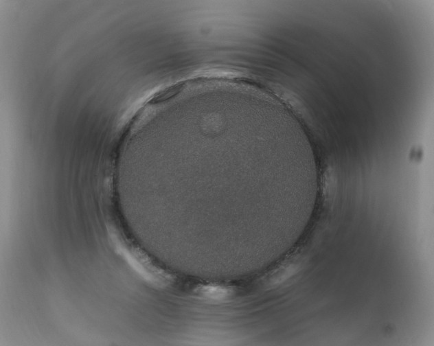 X0000111250352200907091429